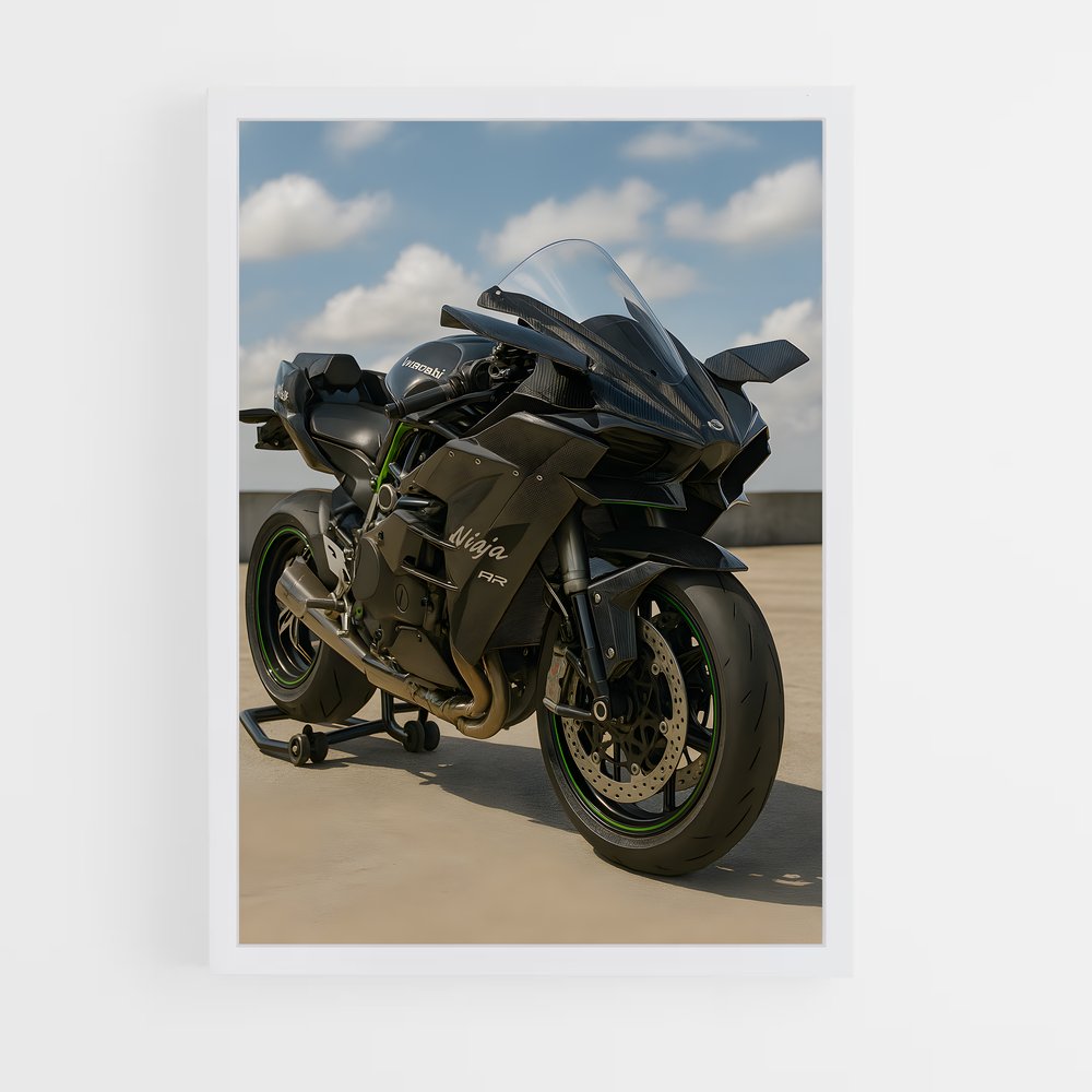 Poster Ninja héroïque (vue 3)